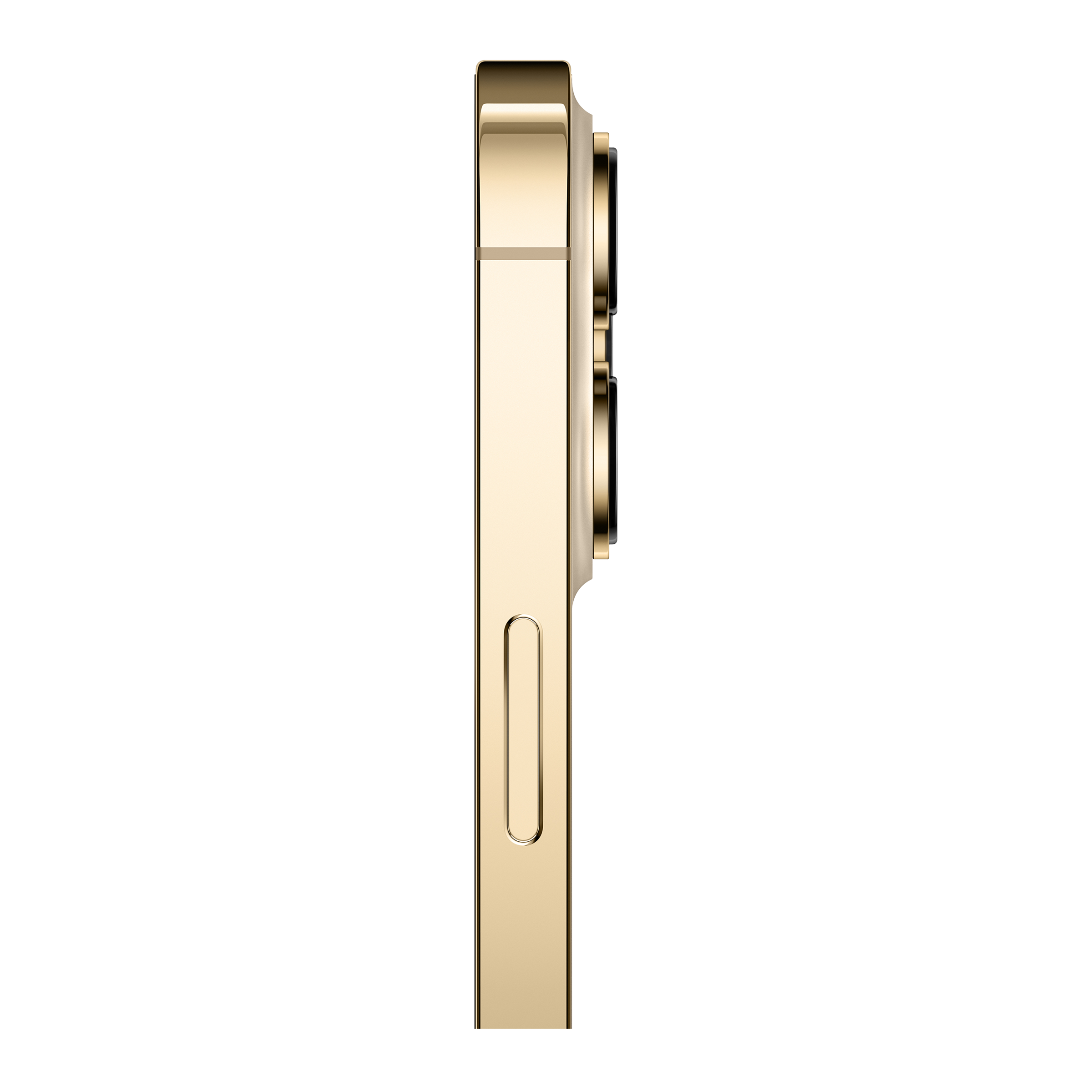 Buy Apple iPhone 13 Pro Max (1TB, Gold) Online - Croma